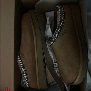 Uggs Tasman
